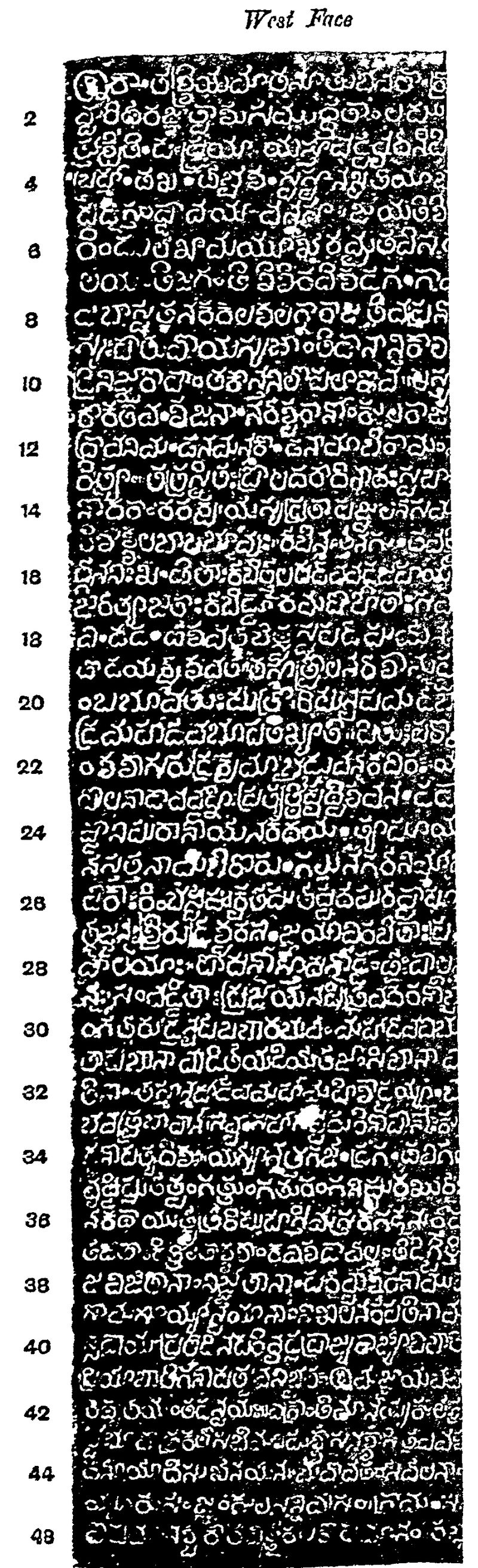 An ink impression of one narrow pillar face. Clear white Telugu letters stand on a black ground in 48 numbered lines.