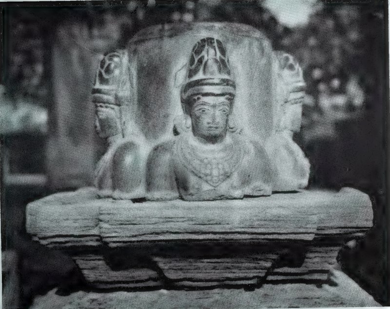 A stone linga with crowned faces carved on its sides, set on a broad base, with trees behind.