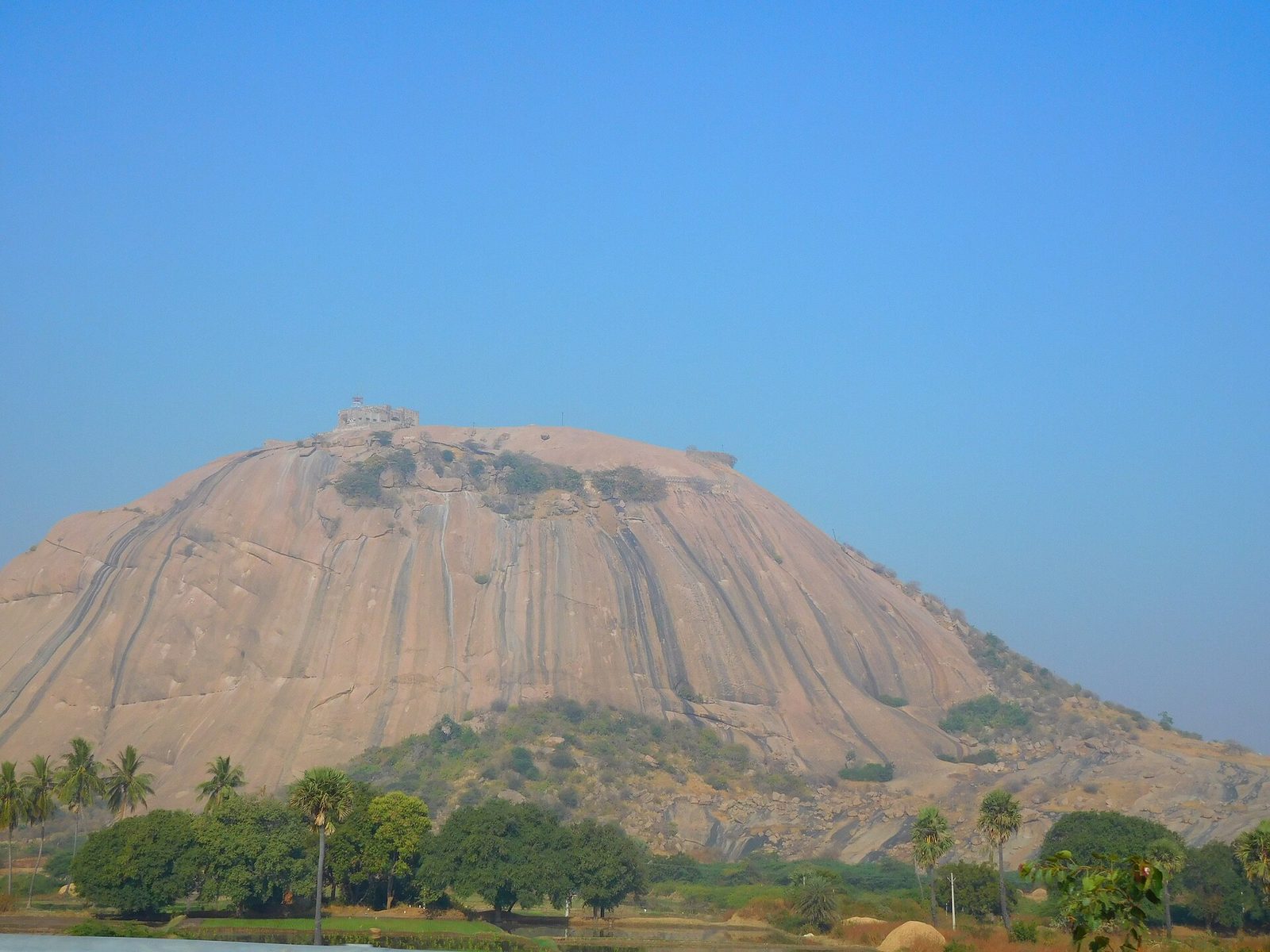 A huge smooth dome of pink granite rises above a line of palm trees and green fields. Dark vertical streaks run down the bare rock face. A small group of buildings stands on the summit.