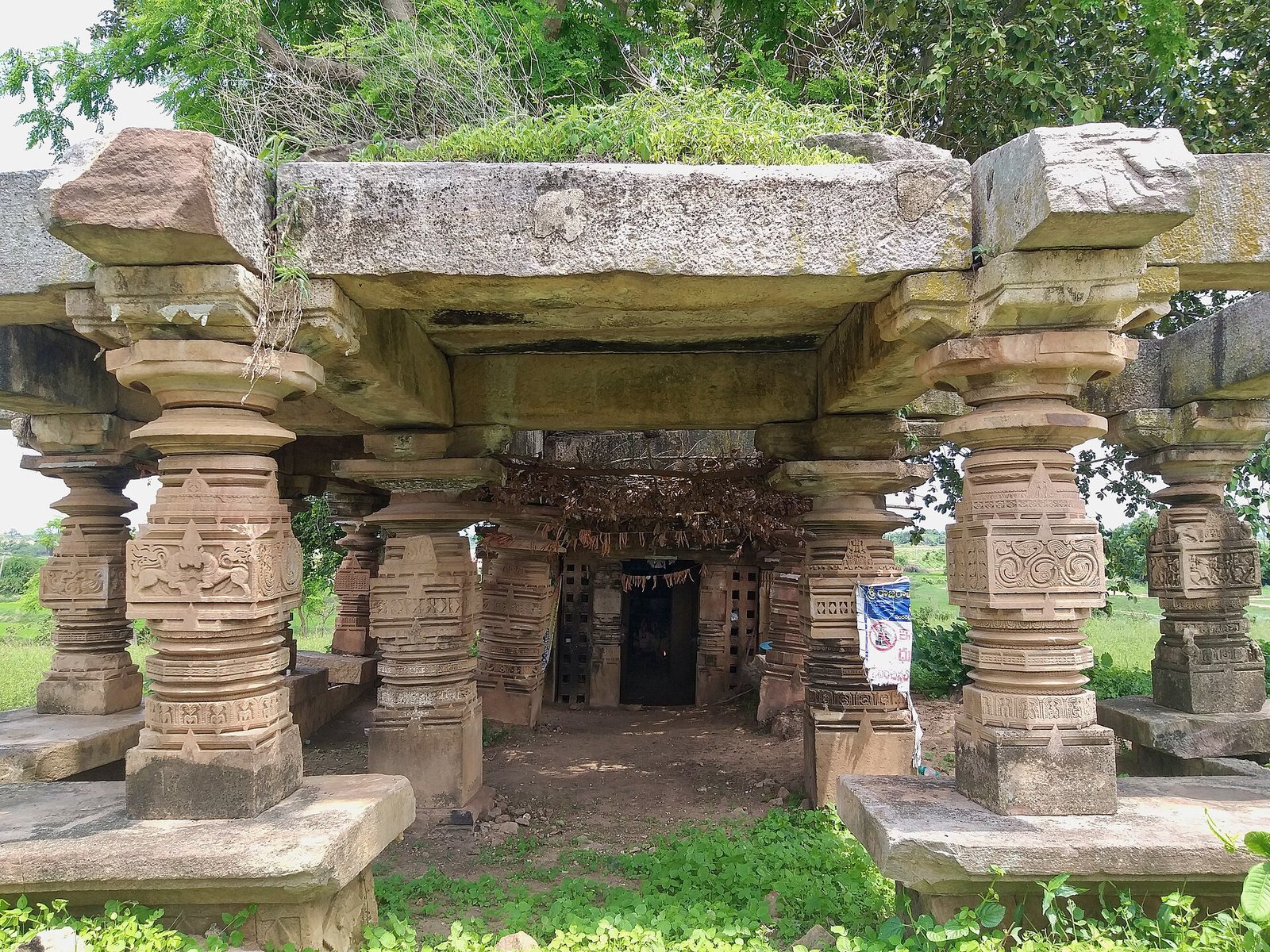 A small open temple hall of carved stone pillars under a flat stone roof, with grass and plants growing on top.