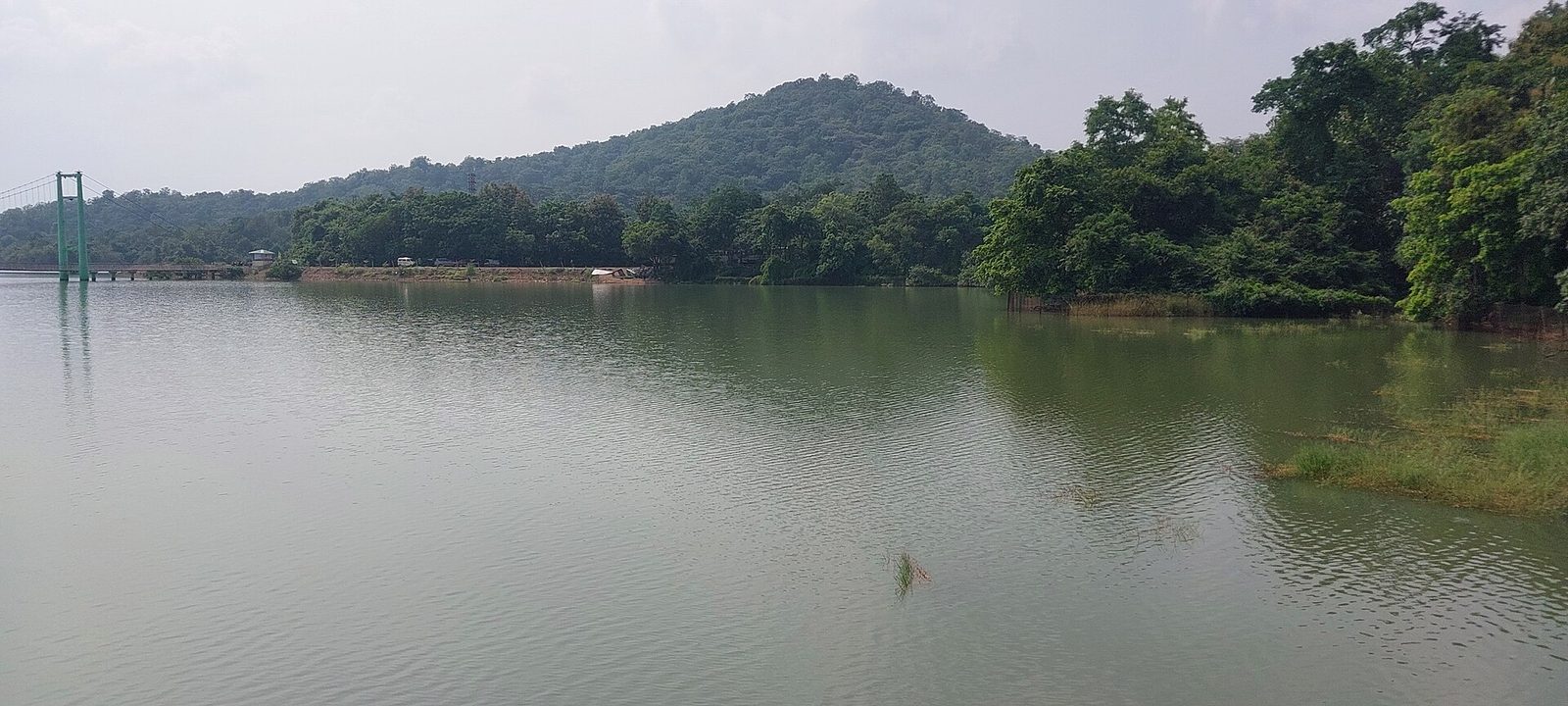 A wide, calm lake with a forested hill on the far shore and dense trees along the water's edge at right. The tall green tower of a suspension bridge stands at the far left.