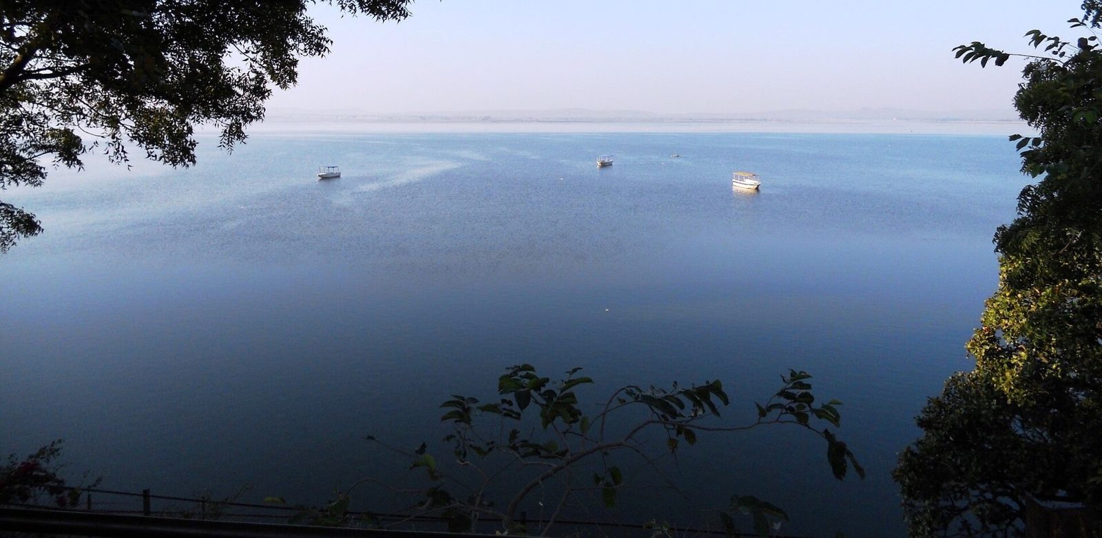 A wide expanse of blue lake water seen from a raised bank between trees. Three small boats float on the lake, and a faint shoreline lies on the horizon.