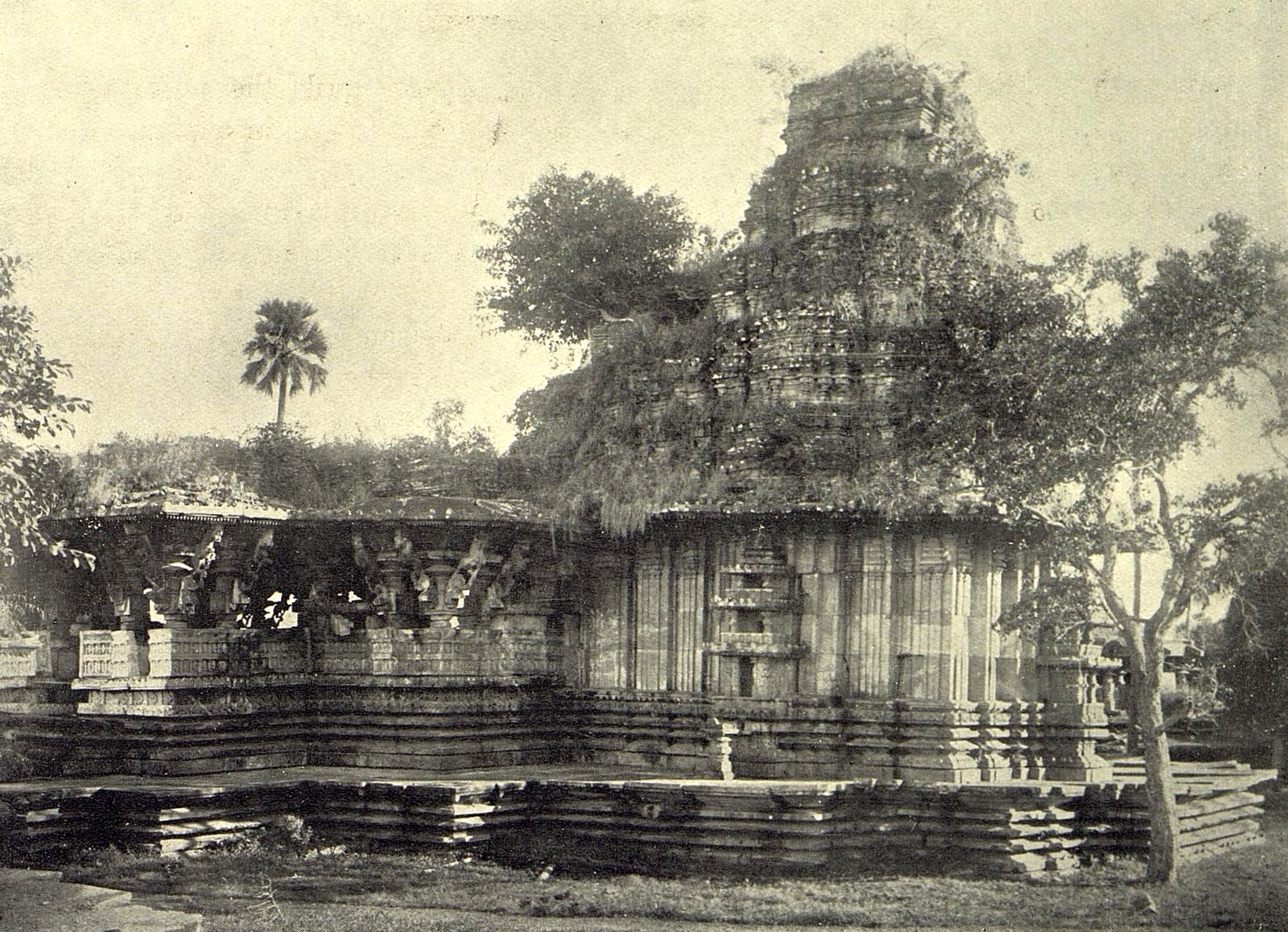 Black-and-white photograph of the Ramappa Temple from the north-west. Grass and small trees cover the roof of the open hall and the tower over the shrine. The temple stands on a broad stepped platform.