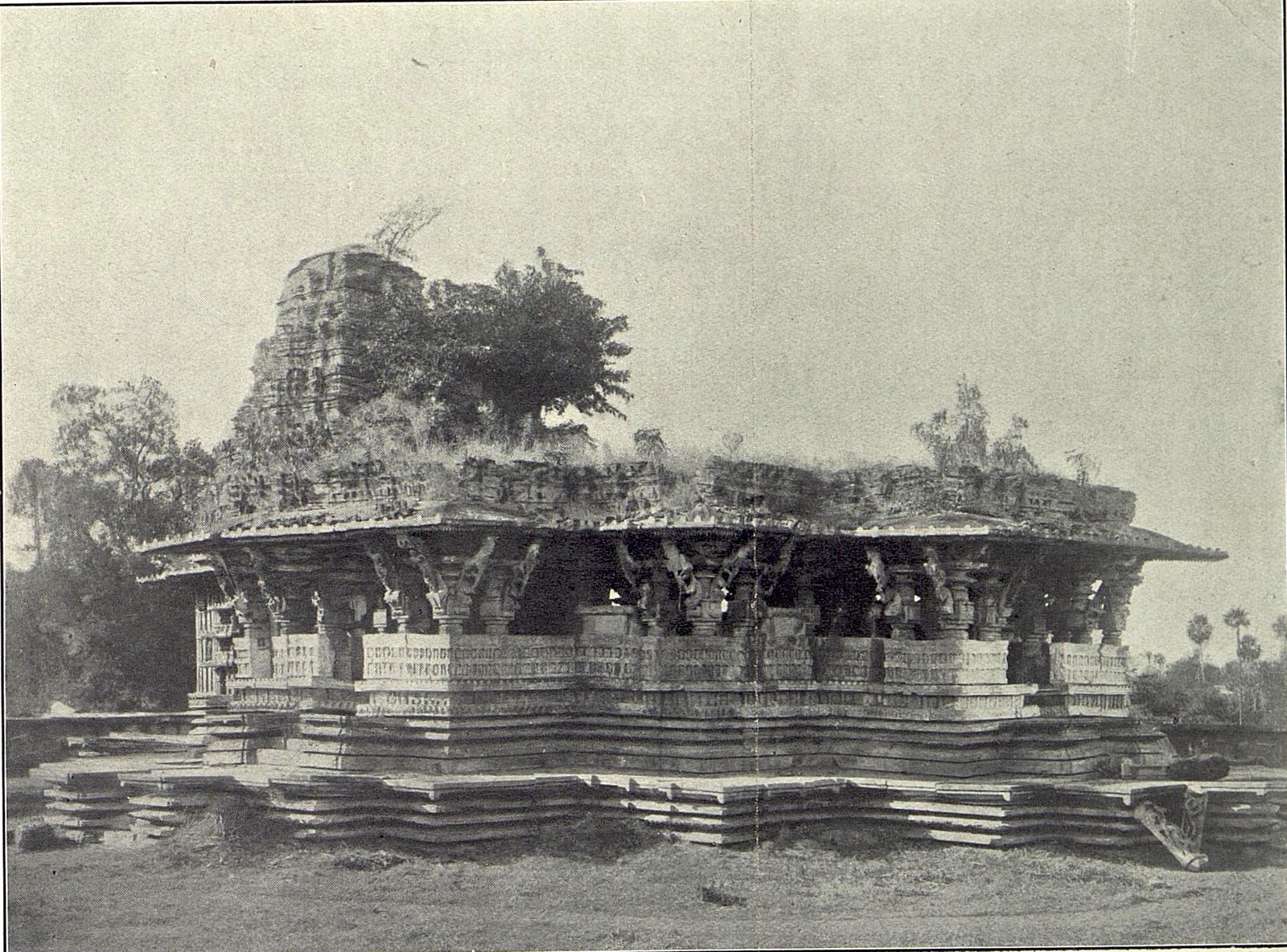Black-and-white photograph of the Ramappa Temple from the south-east across open ground. Carved brackets stand under the deep eaves of the hall. Plants grow along the roof, and a tree grows beside the tower.