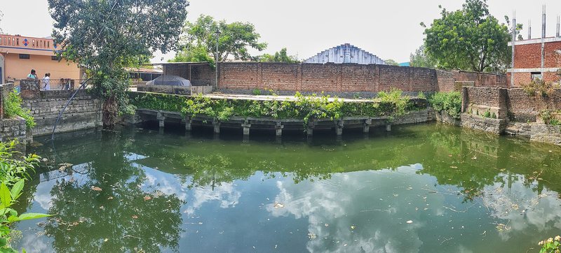 A wide view of a square stepwell filled with green water to the level of its upper pillars, with brick houses and trees around it.